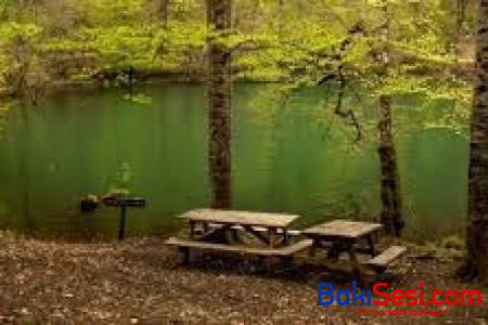 Sabahdan milli parklar açılır