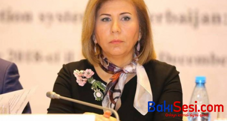 Dövlət Komitəsi payızda parlamentə hesabat verəcək