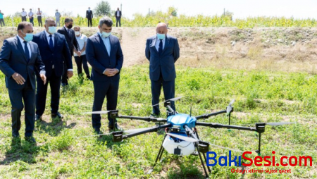 Azərbaycanda qarğıdalı sahələrinin dərmanlanmasında dronlar işə salındı