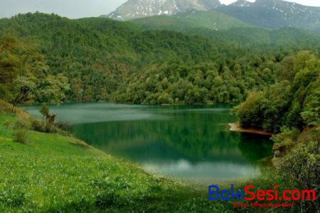 Nazirlik milli parklara girişin ödənişli olmasına aydınlıq gətirdi