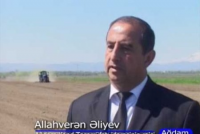 Başı pendir sexinə qarışan başçı müavini Allahverən Əliyev ağdamlıları necə incidir- Video