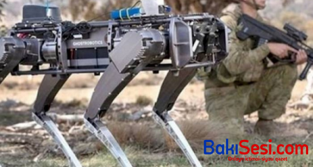 ABŞ robot itlər hazırlayır