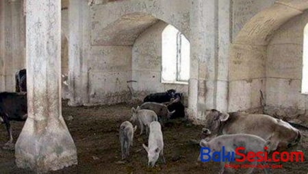 Məscidlərdə donuz saxlanılması faktı beynəlxalq mediada