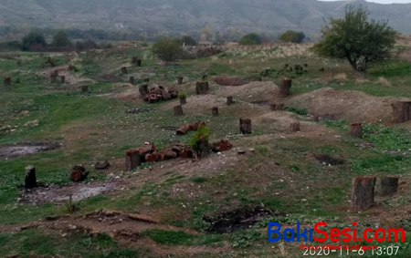 Nazirlik işğaldan azad edilmiş ərazilərdə kütləvi ekoloji terroru təsbit etdi - Fotolar
