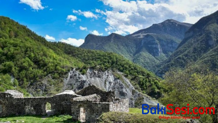 Kəlbəcəri tərk edən ermənilər ağacları da kəsib aparırlar - FOTO
