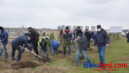 Abşeronda şəhidlərin xatirəsinə 2783 ədəd ağac əkildi - FOTOLAR