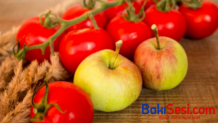 Bir sıra müəssisələrdən Rusiyaya məhsul ixracına icazə verildi