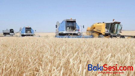 Ağdamın işğaldan azad olunan ərazilərində 700 hektar taxıl əkildi