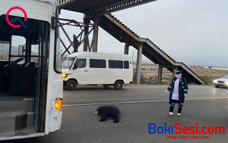 Bakıda sərnişin avtobusu piyadanı vurub öldürdü - Foto