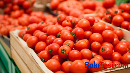 Rusiya 50 ton pomidorumuzu geri qaytardı
