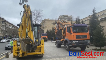 Yasamalda ağaclar niyə köçürülür? - Nazirlikdən CAVAB (FOTO)