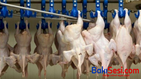 Daha iki ölkədən quş əti idxalı məhdudlaşdırıldı