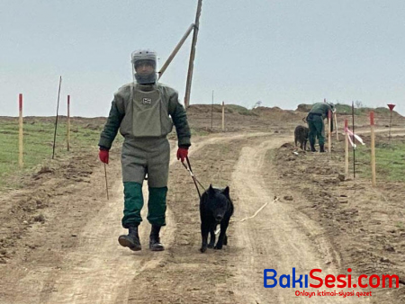 Ermənilər əllərində olan bütün minaları basdırıb çıxıblar - ANAMA