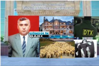 Həbs olunan icra başçıları “Səni deyirlər”, Alı Alıyev- Füzulinin icra başçısının milyonluq villaları, avtomobilləri, 30 min qoyunu, 5 min mal-qarası…