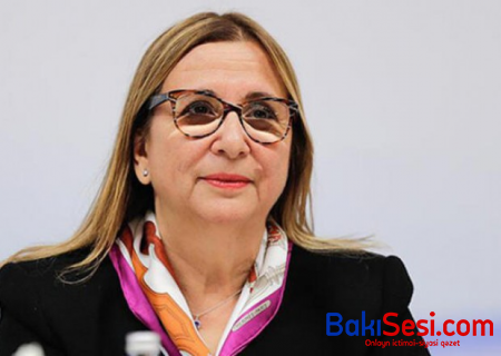 Türkiyəli nazir Milli Məclisə gəldi