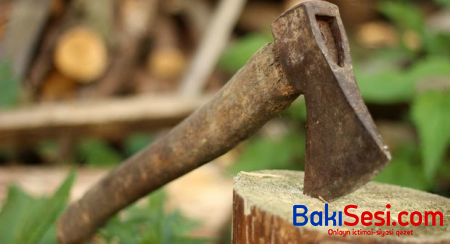 Bina tikmək üçün ağacları kəsən şirkətlərlə bağlı Baş Prokurorluq hərəkətə keçdi