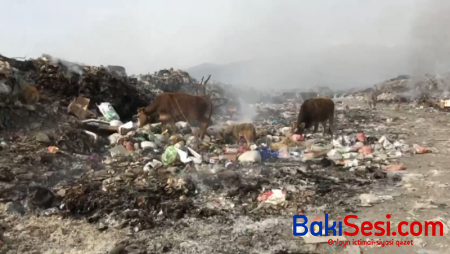 Bu görüntülər Azərbaycanda çəkilib: Sakinləri narahat edən vəziyyət - VİDEO