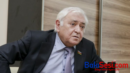 "“Şəhid anası” medalı təsis edilsin!" - Deputatdan təklif