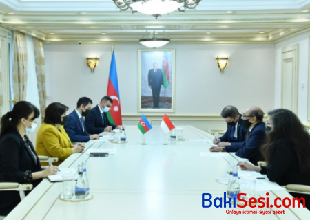 Sahibə Qafarova İndoneziya səfiri ilə görüşdü