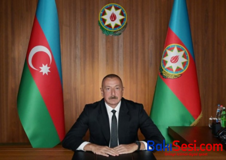 İlham Əliyev Borge Brende ilə videokonfrans formatında görüşdü