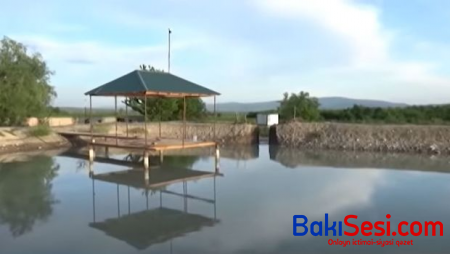 Bir ay öncə evlənən gənc göldə batdı - VİDEO