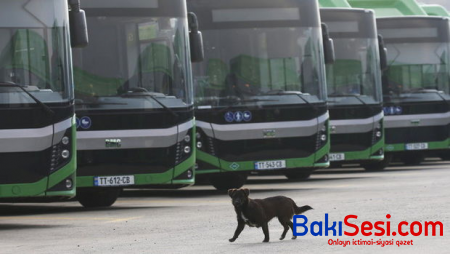 Gürcüstanda koronavirusla bağlı qəbul edilmiş məhdudiyyət aradan qaldırıldı