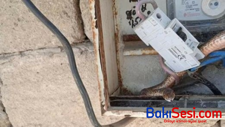 Bakıda işıq sayğacının içindən ilan çıxdı - FOTO