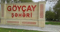 Sənədlərini Göyçay rayon Tibbi-Sosial Ekspert Komissiyasına təqdim etsə də... - GİLEY