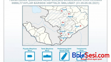 Azad olunan ərazilərdə aşkarlanan minaların sayı AÇIQLANDI