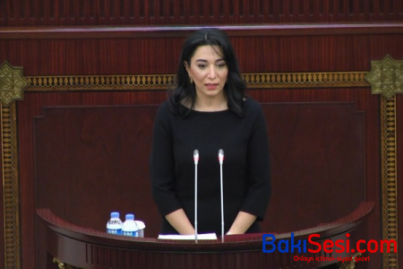Ombudsmandan azad edilən ərazilərlə bağlı HESABAT