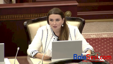 Deputat AZAL-ı tənqid etdi: “Biletlər əksər ölkələrlə müqayisədə qat-qat bahadır“