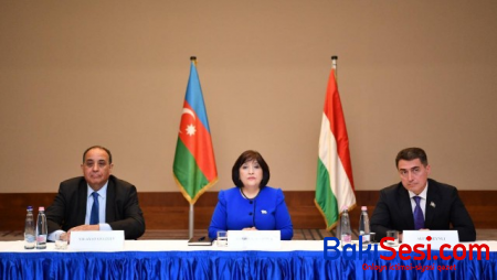 Sahibə Qafarova Macarıstan-Azərbaycan parlament dostluq qrupu ilə görüşüb