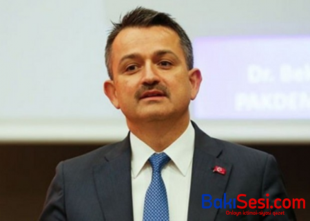 "223 yanğından 217-si nəzarət altına alınıb." - Türkiyəli nazir