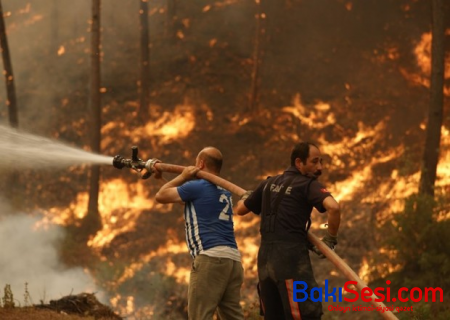 Türkiyədə meşədə növbəti yanğın - Bir nəfər saxlanıldı (FOTO)