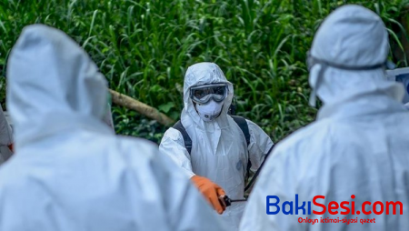 Daha ölümcül virus: hələlik 42 nəfər vəfat edib