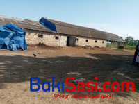 Masallı Regional Meşə Təsərrüfatı Mərkəzində olan "özbaşınalıq" və "cinayətlər"in sayı hesabı yoxdur
