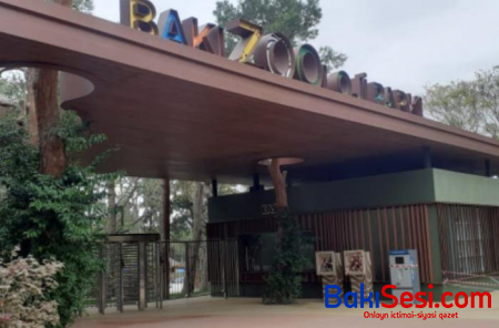 Bakı Zooloji Parkına giriş qiymətləri MÜƏYYƏNLƏŞDİ