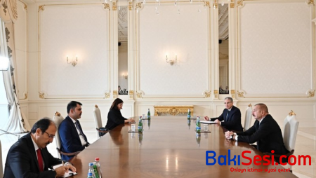 İlham Əliyev türkiyəli naziri qəbul etdi (FOTO)