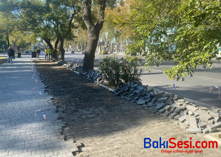 Bakıda velosiped yolunun inşasına başlanıldı - FOTOLAR