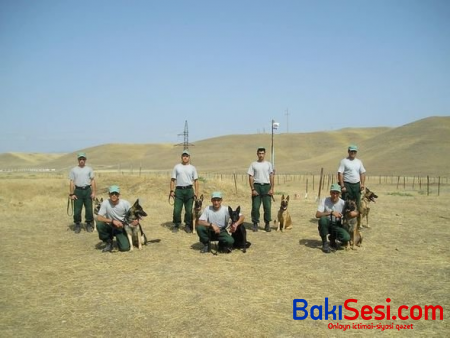 ABŞ Azərbaycana 40 mina axtaran it hədiyyə etdi