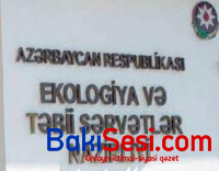ETSN MEŞƏ MAFİYASININ əlində aciz qalıb? - VİDEOFAKT
