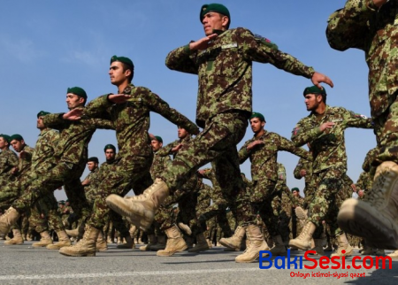 “Taliban” nizami ordu yaradır