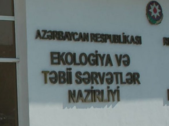 Meşə torpaqları dədə malı kimi SATILIR - İTTİHAM