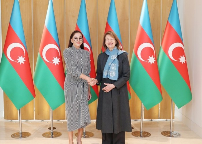 Birinci vitse-prezident Emma Nikolson ilə görüşüb - FOTO