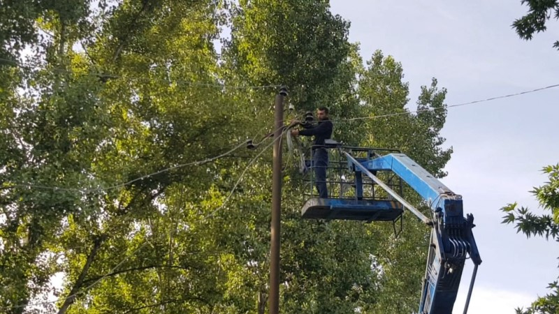 Göyçayda güclü külək ağacları aşırıb, elektrik xətlərini qırıb - FOTO