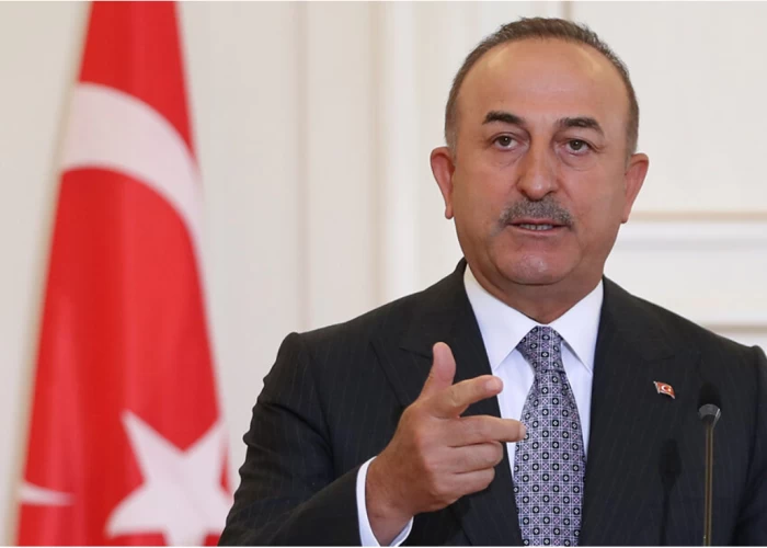 "Erməni icması Türkiyənin ayrılmaz hissəsidir" - Çavuşoğlu