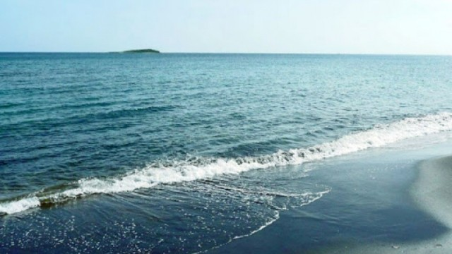 Xəzərin Azərbaycan bölməsində suiti cəsədi aşkarlanmayıb