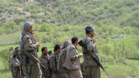 Türk ordusu 3 terrorçunu ələ keçirdi