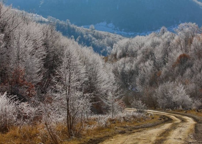 Şuşa, Kəlbəcər və Laçında hava necə olacaq?