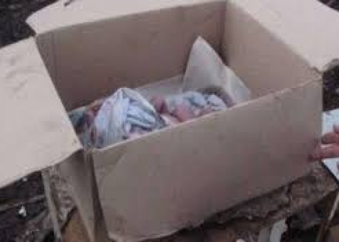 Bakıda 3 aylıq körpə küçəyə atıldı